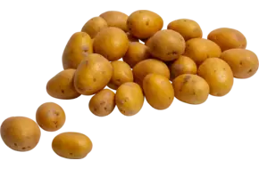 Kriel aardappelen gewassen